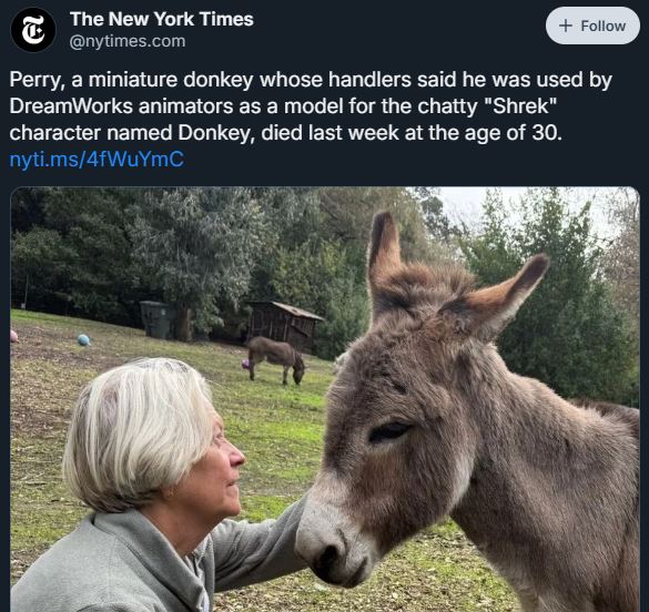 donkey.JPG