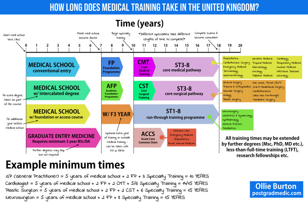 infographic.jpg