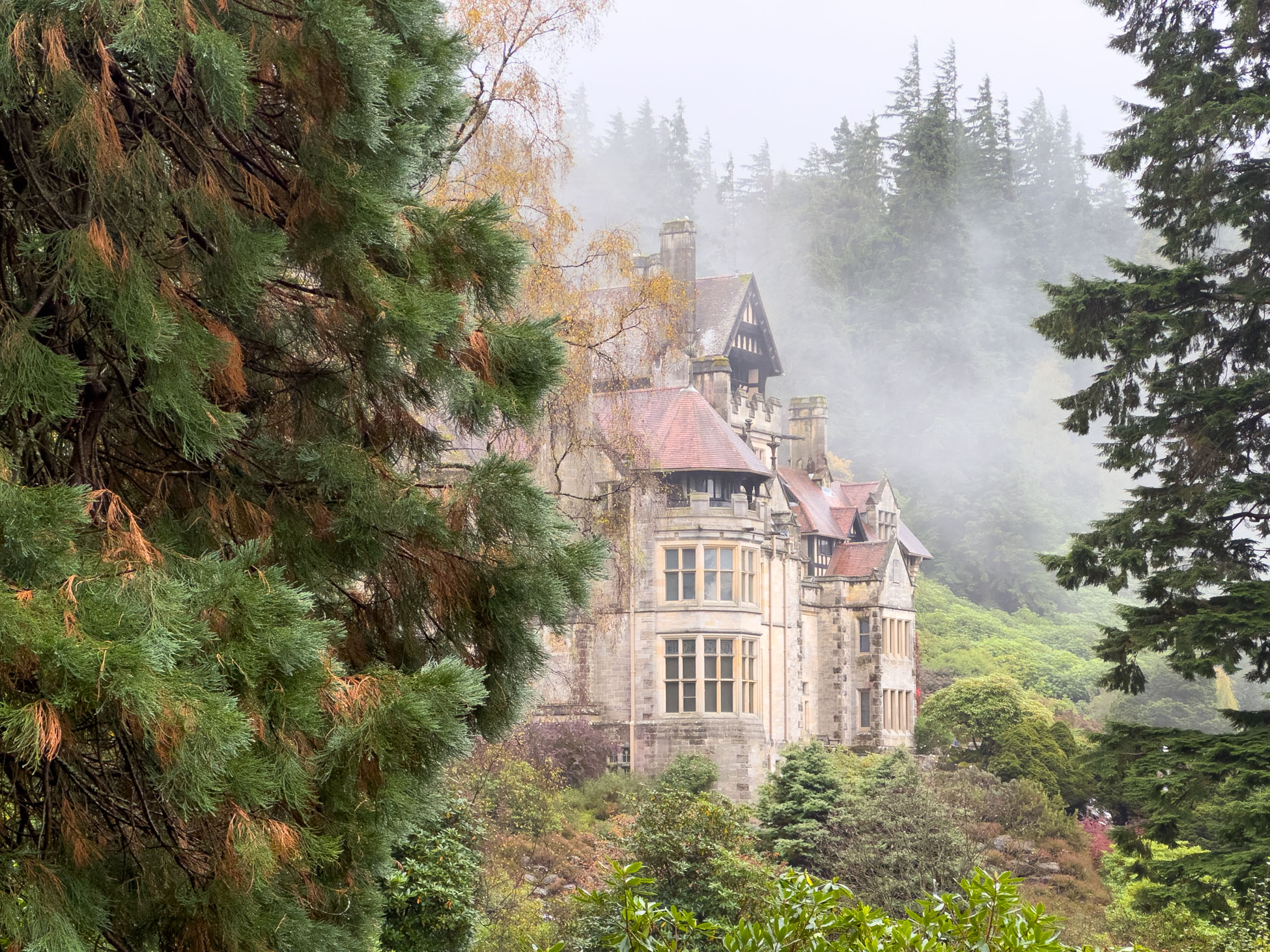 Cragside Mist.jpg